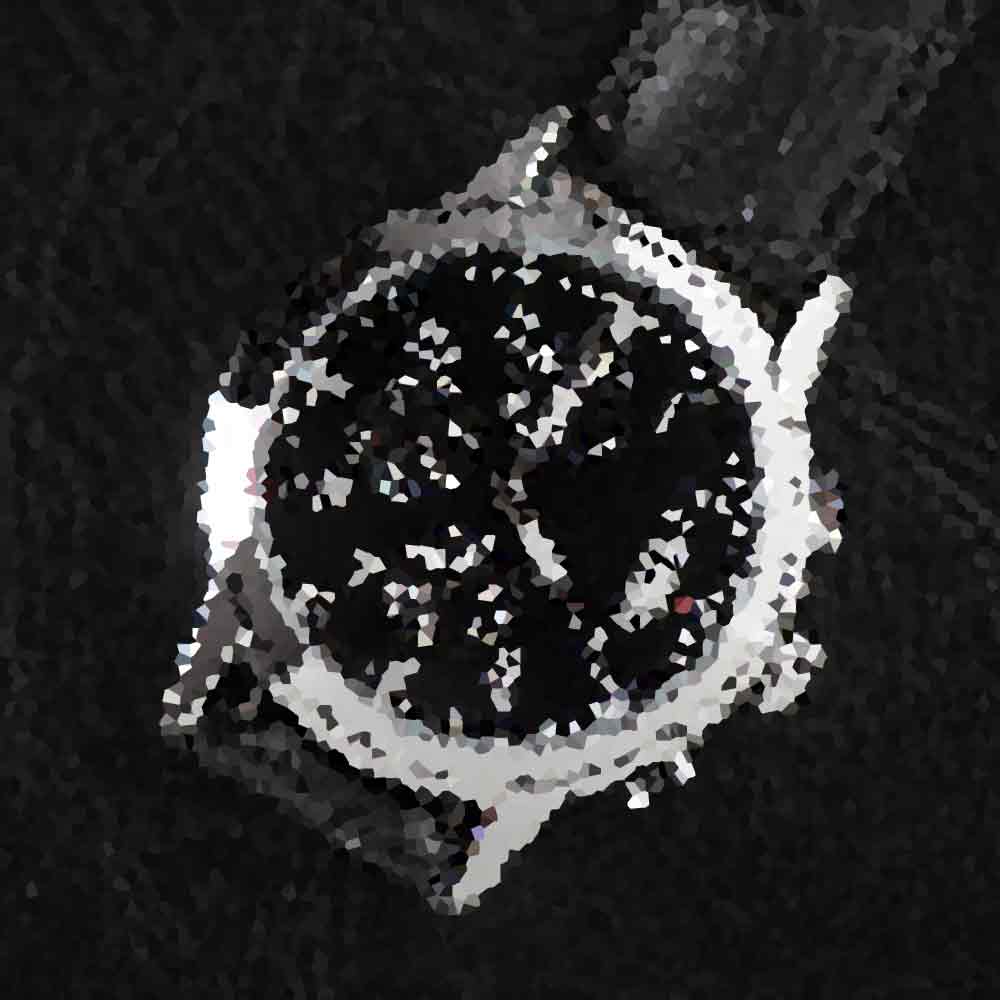 PrecisionPulse ChronoPulse - Image 3