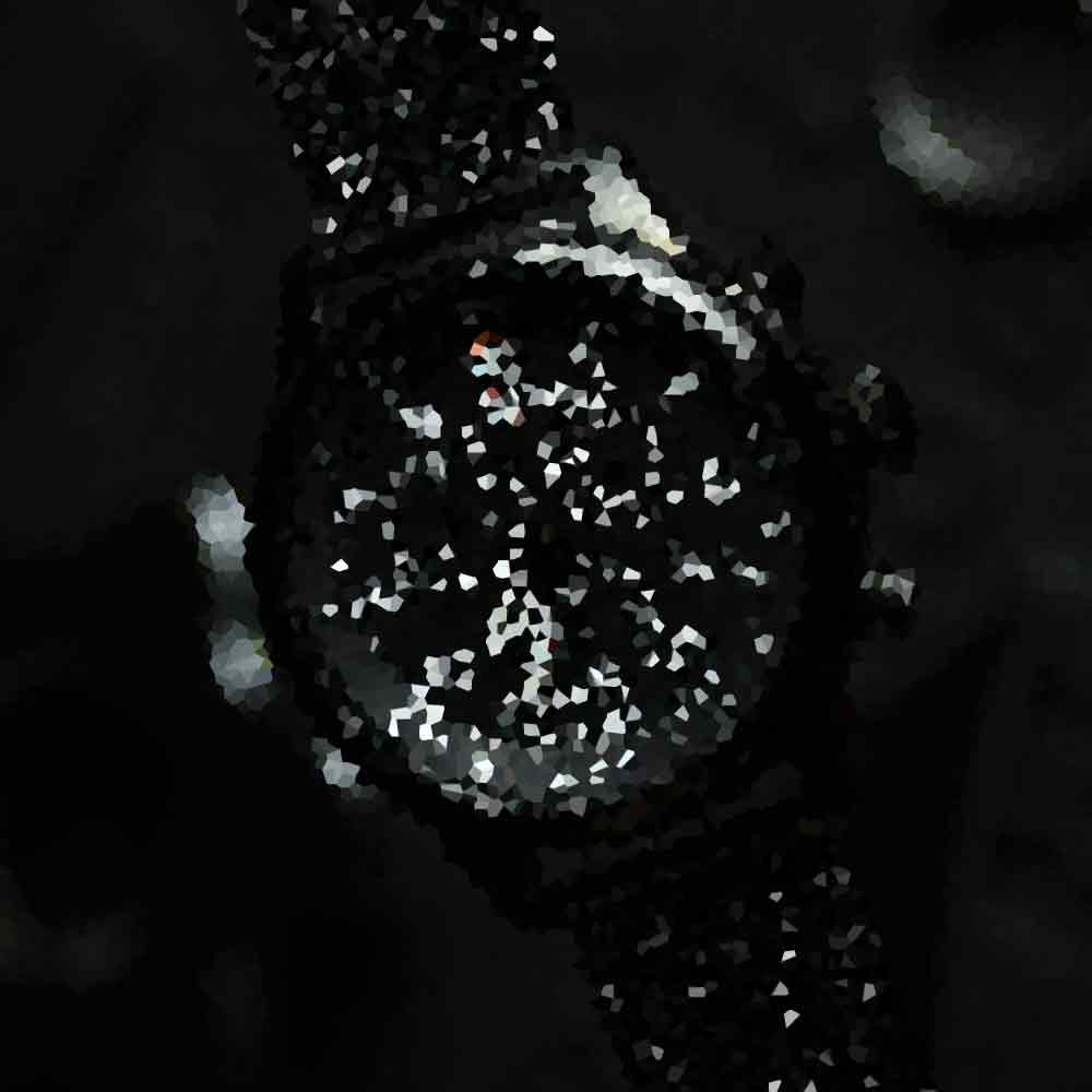 PrecisionPulse ChronoPulse - Image 6